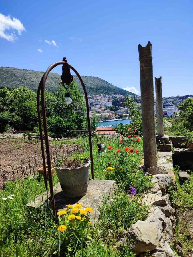 Peaceful House In Dubrovnik Apartamento Exterior foto